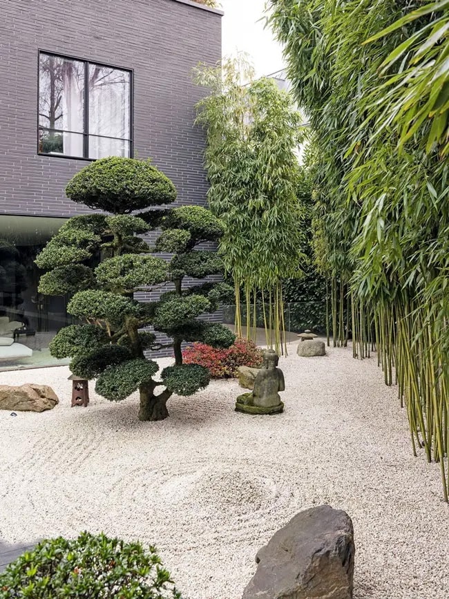 Jardín zen exterior