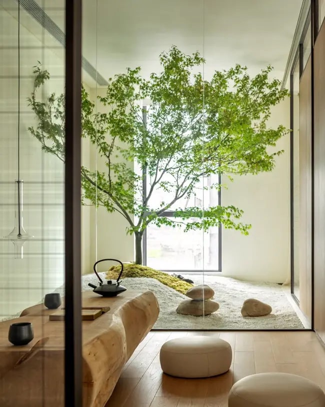 Árbol en el interior de casa