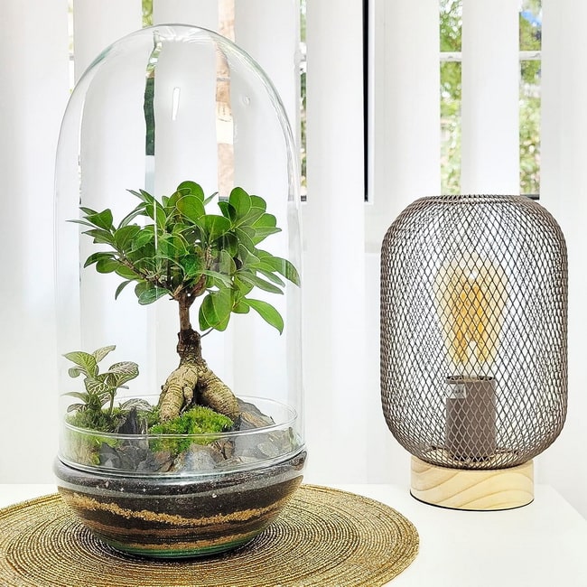 Regalos originales para amantes de la decoración