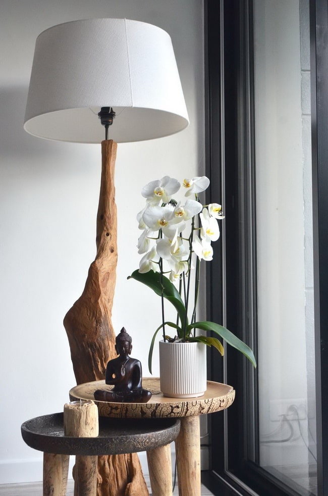 Orquídeas en el recibidor