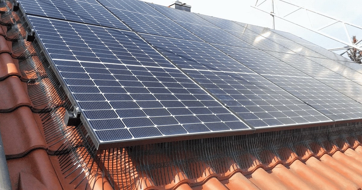Antipájaros para techos y protección solar