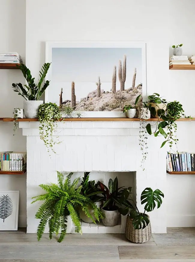 Plantas para decorar un hogar a leña