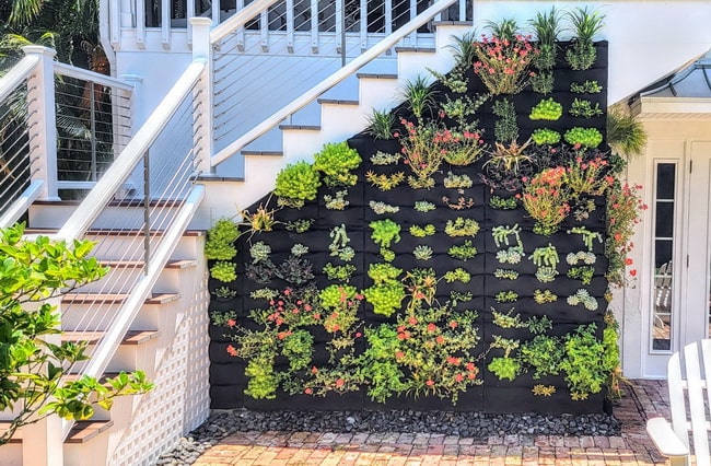 Decoración de muros exteriores con jardines verticales