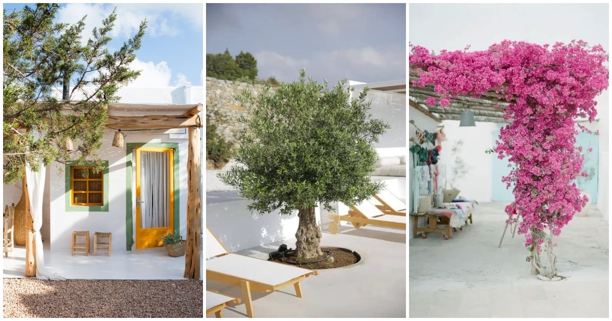 Jardines mediterráneos