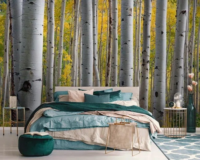 Papel de pared bosque