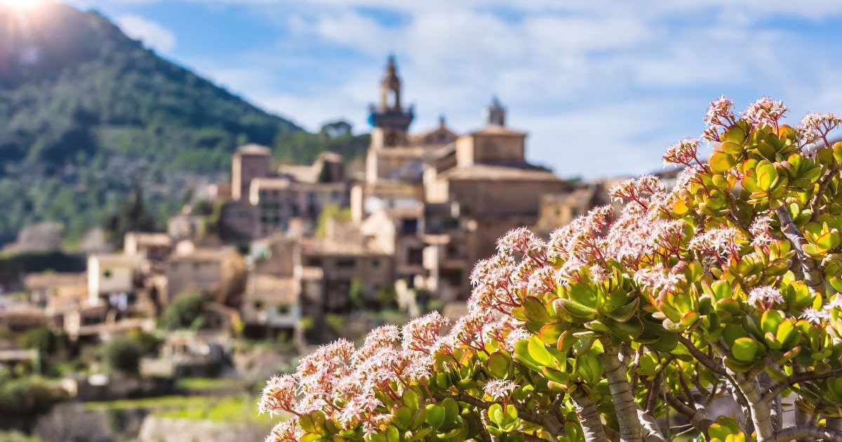 La importancia de contratar a un agente inmobiliario en Mallorca