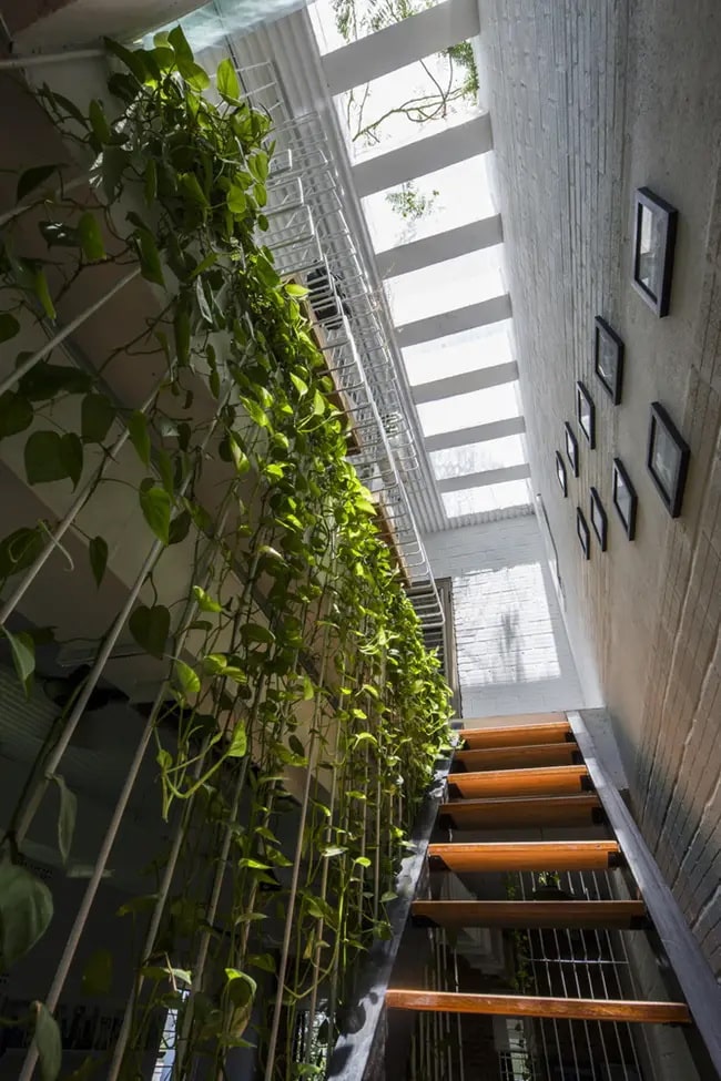 Plantas en escaleras Decorar escaleras estrechas con plantas repartidas