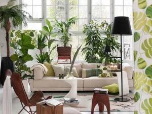 Plantas detrás del sofá