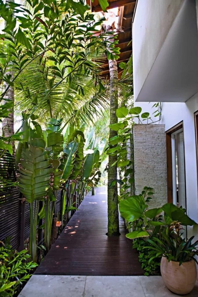 Pasillo exterior con muchas plantas